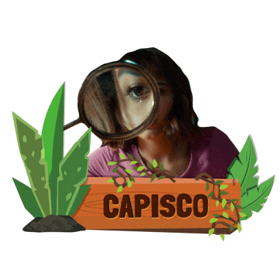 capisco Sticker by Dora and the Lost City of Gold
