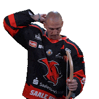Goal Hockey Sticker by Saale Bulls
