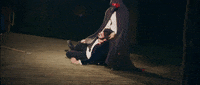 dsvltavan fight fail fall pad GIF