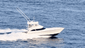 Viking Gulfstream GIF by GEMLUX