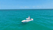GemluxFishing miami boat fishing invincible GIF