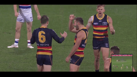 afl GIF by Adelaide Crows