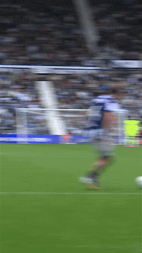 West Brom Styles GIF by West Bromwich Albion