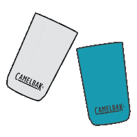 Party Celebrate Sticker by CamelBak