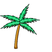 Palm Tree Instagram Sticker by Vitrines Digitais