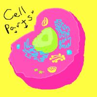 life colors GIF by Amy Ciavolino