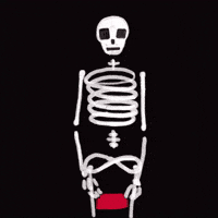 Memento Mori Skull GIF by Yin Wrong