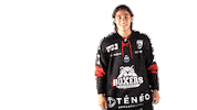 Ice Hockey Sticker by Boxers de Bordeaux