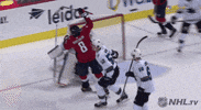 nhl happy sports celebration excited GIF