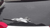 plane fighter GIF by WiperTags