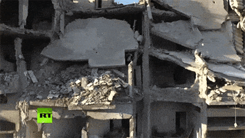 war news GIF