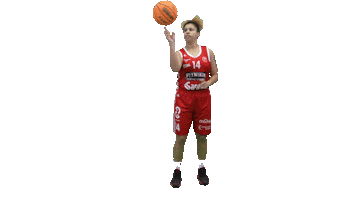Basketball Hoops Sticker by Basket_fi
