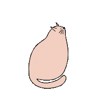 clementinesunshine cat meow mew fat cat Sticker