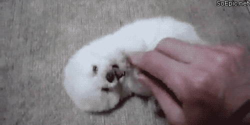 tickle GIF