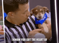 Go For It Heart GIF by Puppy Bowl