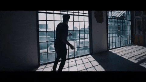 LivHema giphygifmaker max giesinger 80 millionen GIF