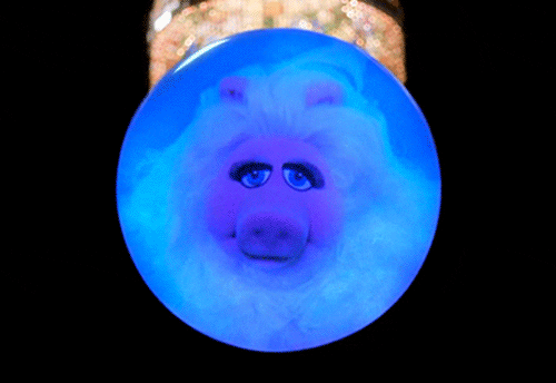 muppetwiki giphyupload muppets crystal ball miss piggy GIF