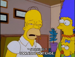homer simpson GIF