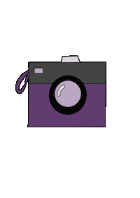 Photo Shoot Photography Sticker by BeeDigital