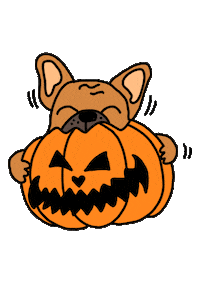 happy dog Sticker by Ivo Adventures