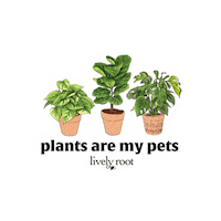livelyroot plants greenery indoor plants potted plants Sticker