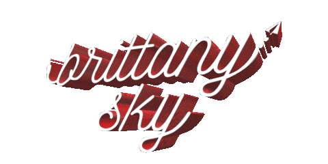 brittanyskyofficial giphyupload brittany sky Sticker