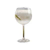 GindeCologne gin cologne koeln gintonic Sticker