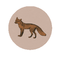 Skincare Skin Sticker by emydiycom