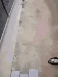 wakey GIF