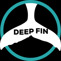 deepfintenerife dive diving tenerife deepfin GIF