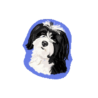 Harvey Kme Sticker by HeARTs Speak
