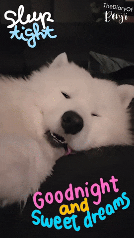 Sweet Dreams Sleeping GIF