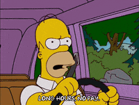 homer simpson GIF