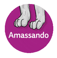 Cat Pet Sticker by Whiskas Brasil