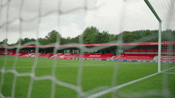 Football Soccer GIF by Salford City FC