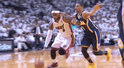 lebron james GIF