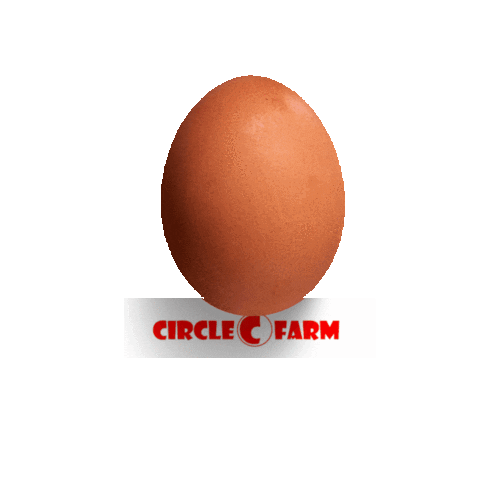 Eggs Sticker by Circle C Farms
