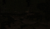 Disturbing The Haunting GIF by Xbox