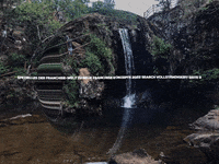 Happy Laugh GIF by FranchiseONE.de