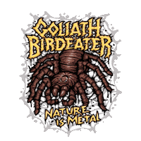 Spider Sticker by Nature Is Metal