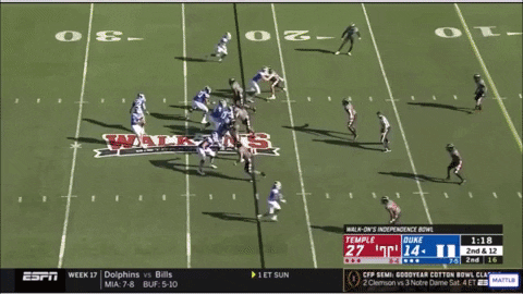 DH82 giphygifmaker GIF