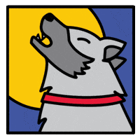 Nc State Wolfpack GIF by NC State University