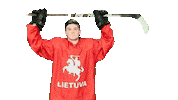 Hockey Sticker by ledoritulys.lt