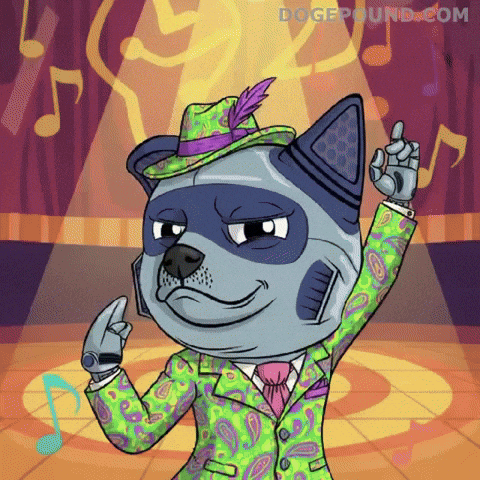 Celebrate Lets Go GIF by Doge Pound