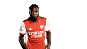 Celebrate Ivory Coast Sticker by Arsenal