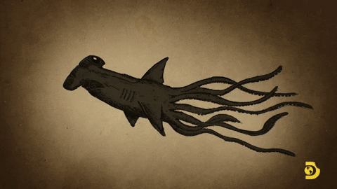 Legend Creature GIF by Shark Week