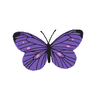 Pink Fly Sticker by FabFitFun