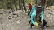 Roadtrip Dartmouthgif GIF by Dartmouth College