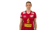 Vbl Fuchs Sticker by Volleyball Bundesliga