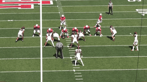 sletizia14 giphyupload GIF